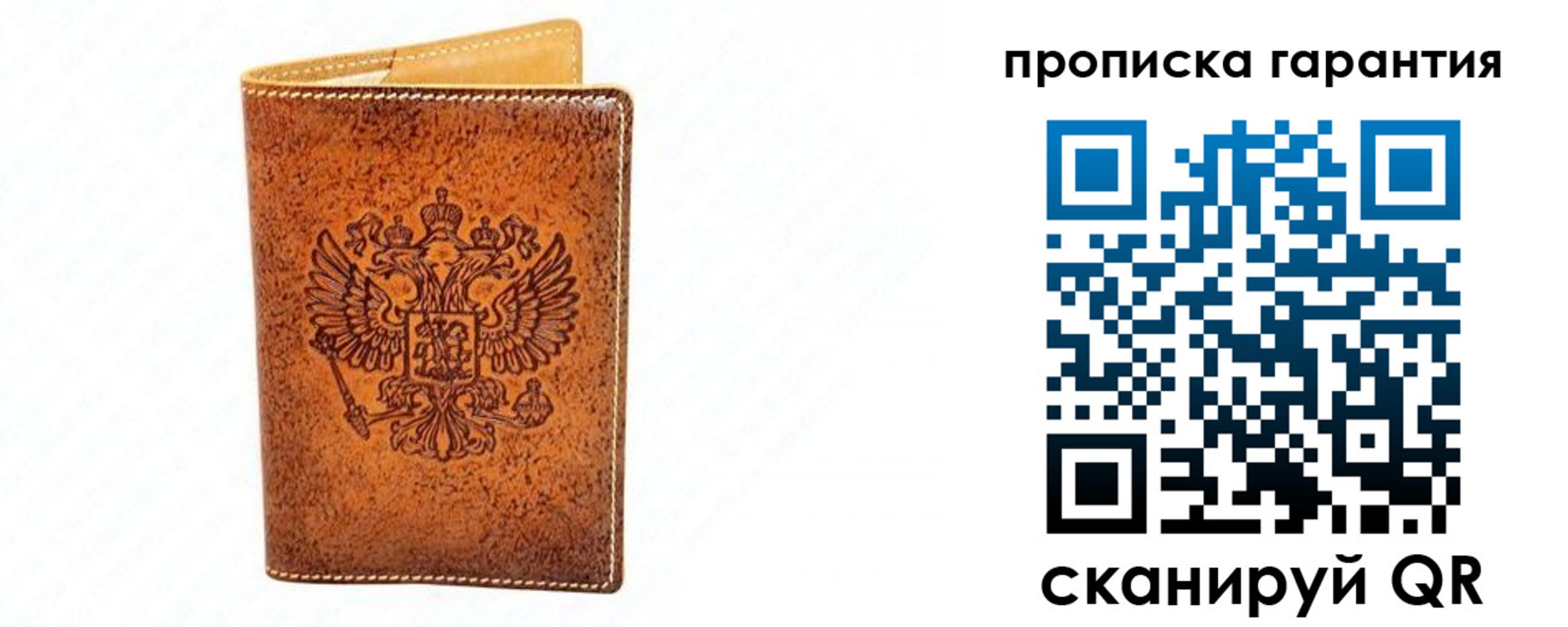 прописка для школы в Санкт-Петербурге